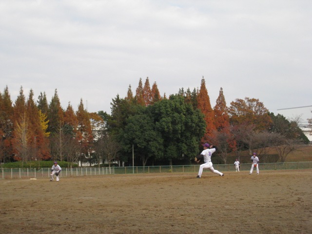 2010.11.21